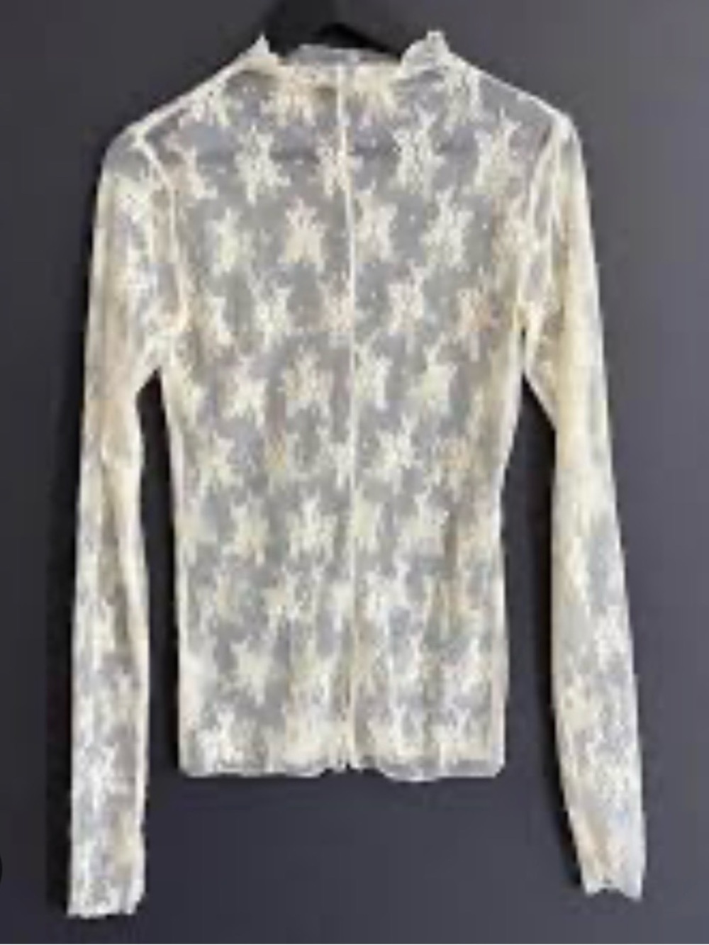Free people size small NWT Sheer Lace Long-Sleeve Top in Cream